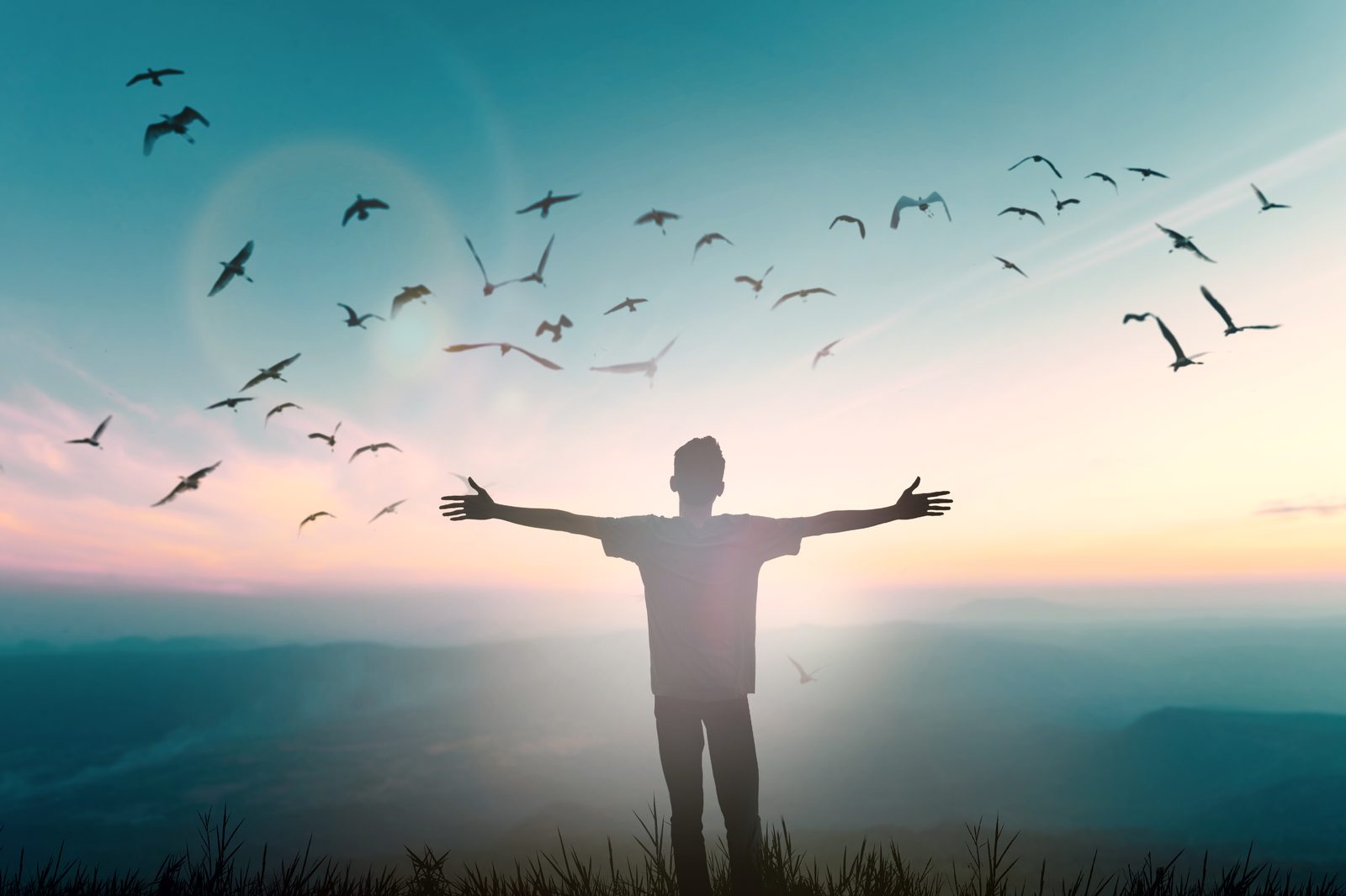 Silhouette of a person with arms outstretched on a hilltop, birds flying overhead at sunset